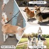 LEOSASA No-Tangle 3-Dog Leash - Main Lead Rope with Heavy-Duty