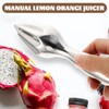 Stainless Steel Citrus Reamer Handheld Lemon Squeezer Reamer - Manual