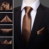 Barry.Wang Men's Silk Business Ties with Handkerchief, Cufflink Stripes Plaid