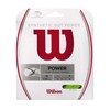 Wilson Cuerda Synthetic Gut Power #16 Lima