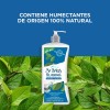 St. Ives Crema Corporal Hidratante Colágeno y Elastina, Humectantes 100