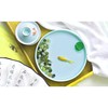 Hormsdar Yixing Handmade Celadon Colorful Koi Fish Gaiwan,Chinese Gongfu Tea