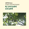 곰보배추 엑기스 곰보배추 추출물 배암차즈기 삼백초 시럽 곰배진 곰베진 Gombo