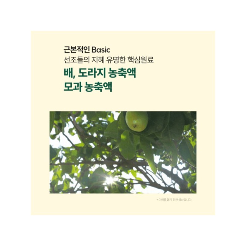 곰보배추 엑기스 곰보배추 추출물 배암차즈기 삼백초 시럽 곰배진 곰베진 Gombo