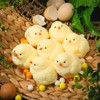 4 Pack Handmade Taba Squishies Soft Chick Fidget Squeeze Toys