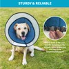 Cone Pet Cone (Blue, M(13.2"-15.5"))