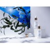 July DiscountRefreshing Green Tea Soothing Serum-Light Soothing Serum / 7월할인산뜻한