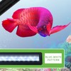 Aquarium Light Professional High Brightness Blue White Lighting Fish Tank