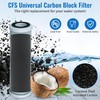 CFS – 10" x 2.5" Carbon Block Water Filter Cartridges