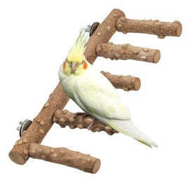 IBWell 2 Pack Bird Ladder for Cage Bird Stands for Parrots Parakeet Perches Cockatiel Perch Natural Bird Perches Budgie Perch