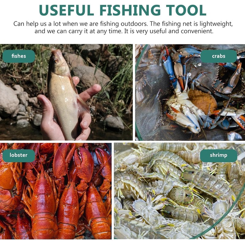 DOITOOL Red de Pesca de Cangrejos para Pesca Plegable Portátil