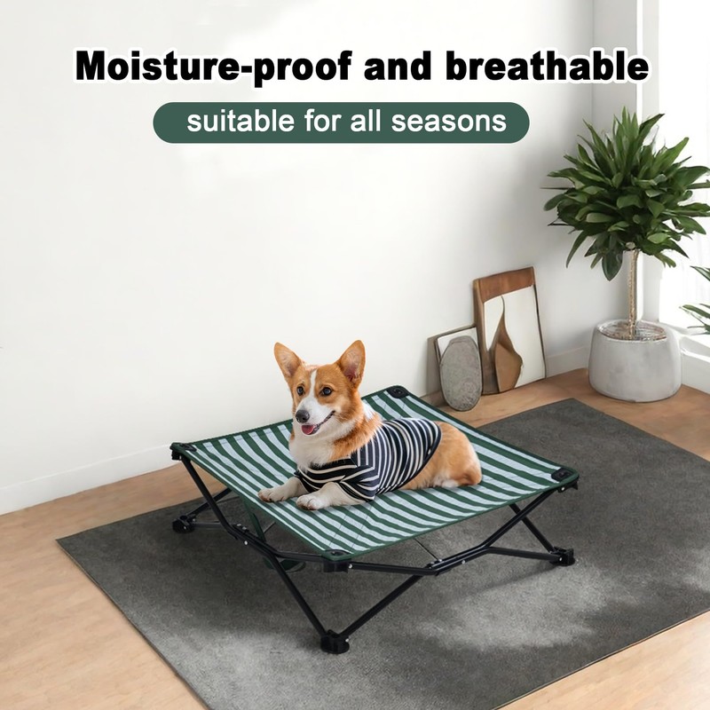 Cooling Elevated Dog Bed, Portable Dog Bed (Green+White, Medium)
