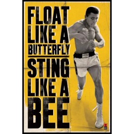 MUHAMMAD ALI FLOAT LIKE A BUTTERFLY 24x36 poster LISTON BOXING ICON CASSIUS CLAY