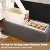Patinao 3 Pack Shoe Storage Box Organizer for Closet -