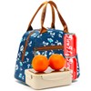 FlowFly Lunch Bag Tote Bag Lunch Organizer Lunch Holder Insulated