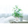 Seiko KR522W Alarm Clock, Analog Temperature/Humidity Display, White, 4.4 x