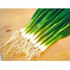 Bunching Green Onion Seeds Scallions About 300 Non-GMO Seeds for
