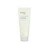 Chamzone Ginkgo Natural Cleansing Cream 200g Cleansing 35082426 / 참존