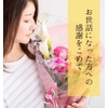 ギフトシール サンキューシール 丸型 3.2cm A お世話になりました＋感謝 100枚 花柄 リーフ柄 水彩風