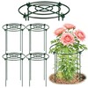 DAYUMKOU 4 Pack Peonies Cages and Supports, 14" Wide x