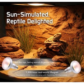 Reptile Heat Lamp, 100W 2-Pack Incandescent Basking Spotlight Bulbs for Reptiles Terrarium Tanks, Reptile Heat Bulb for Infrared Light, Bearded Dragon Heat Bulbs (100W)