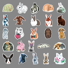 AUCEKO Pack of 50 Rabbit Stickers Pack Rabbit Sticker Set Waterproof Vinyl Stickers for Laptop Children Cars Motorcycle Bicycle Skateboard Luggage Suitcase Computer Sticker Graffiti Decal