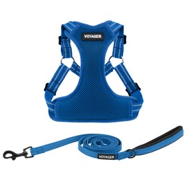 Best Pet Supplies Voyager Adjustable Dog Harness Leash Set with Reflective Stripes for Walking Heavy-Duty Full Body No Pull Vest with Leash D-Ring, Breathable All-Weather Wear - Royal Blue, XL