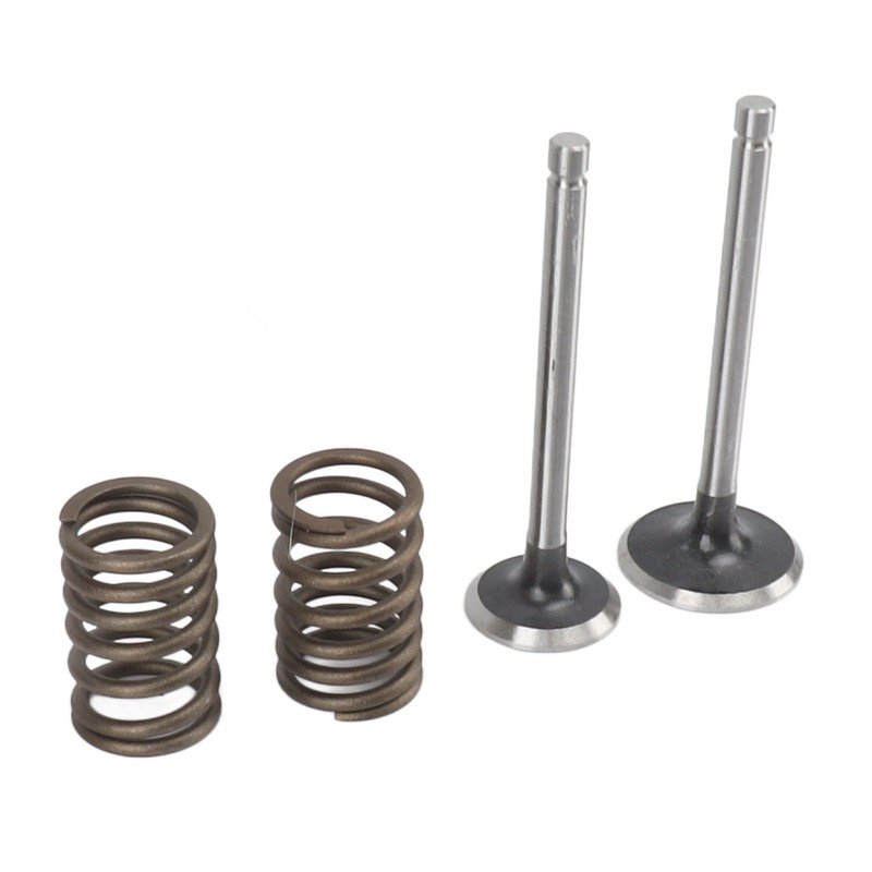 Microtiller Valve Parts Iron Wear Resistant Anti Corrosion Spring Washer