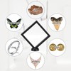 Kcgani 2 Pack 5.5 Inch Shark Tooth Holder Floating Frame