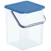 Rotho Basic Storage Box 9 L with Lid and Handle,
