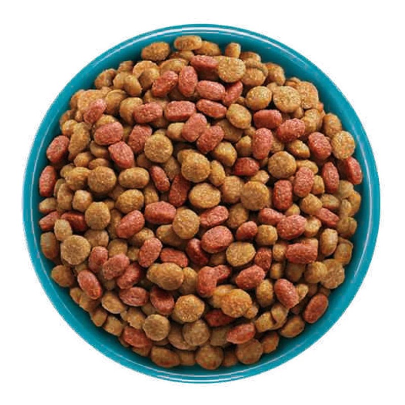 Veterinaria: Purina One Visible Nutrition Seca Esterilizados Gato Adulto Pollo/Salmón