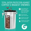 Coffee Gator Coffee Canister, 2pack 16oz Airtight Stainless Steel Kitchen