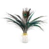 20 Pcs Peacock Feathers, Feathers, Feather, Green Feathers, Feathers for