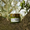 La Provençale Bio Volume Ardent Routine Mes Iconic Makeup and