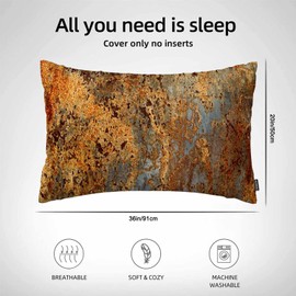 Axzaz Rust Metal Pillowcase Brown Old Iron Steel Door Super Soft Cozy Pillow Case Fade, Stain Resistant with Envelope Closure Pillow Cover Colorful King Size 20X36 Inches