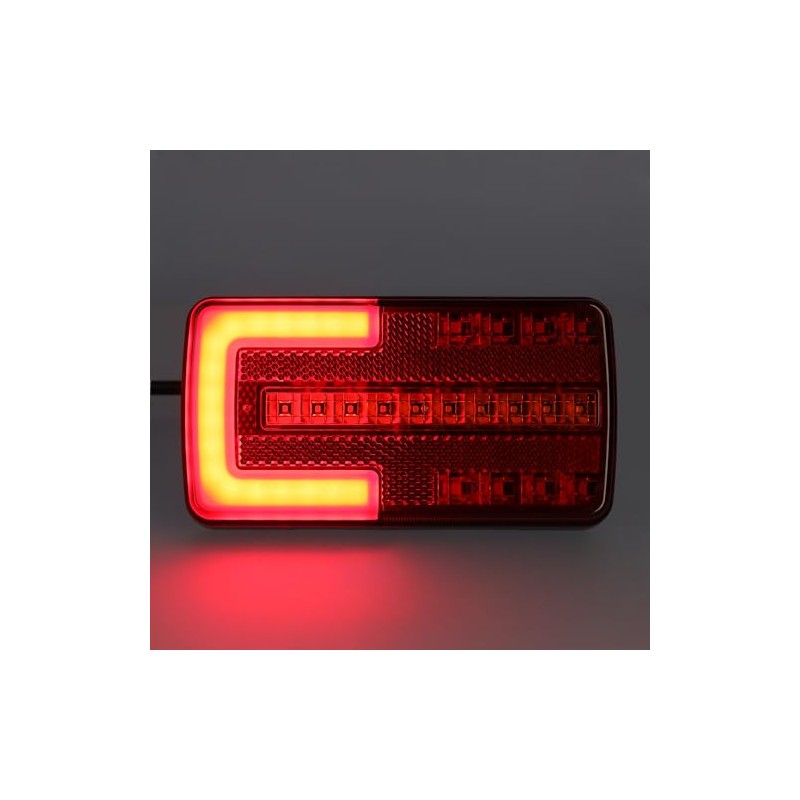 SAMETRUCK LED Rear Light Neon Dynamic Indicator Tail Light 12