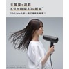 SALONIA SL-013AGR Speedy Ion Dryer, Large Airflow, Quick Drying, Lightweight,