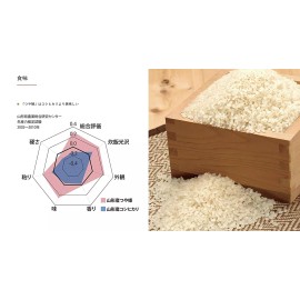 Bakubuy.com Yamagata Tsuyahime Premium Short Grain White Rice 2Kg 山形県産 白米 つや姫 Japan Kaiseki