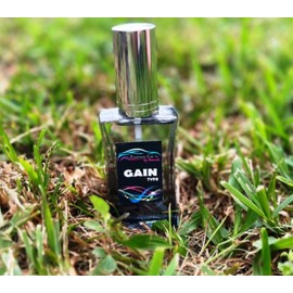 Fashion Car Luxury Compare To Gain Type Air Freshener Perfume (Spray, Fashion Car)