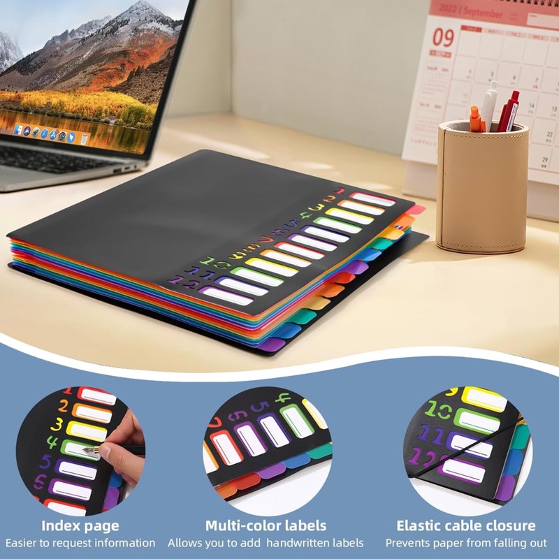 Souvik Expanding File A4 12 Pages Coloured with Labels Organiser