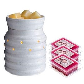 Farmhouse Illumination Fragrance Warmer Gift Set with 3 Courtneys Wax Melts - Mulberry