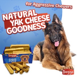 Doggo Dog Chew - Premium Yak Cheese Himalayan Dog Chews - Natural Yak Chews for Large and Small Dogs - Yak Milk Dog Chew - Long-Lasting Treats Aggressive Chewers - Large, 2 Pounds (10 Pieces)