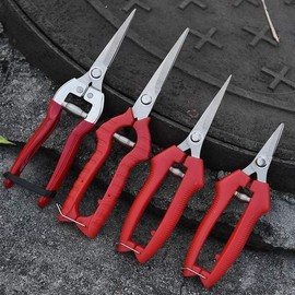 Kongshim Patsim 원예가위 나무가위 꽃전정 원예전문가위 꽃나무가위 가지치기 꽃 Gardening Scissors Wood Scissors Flower Pruning Gardening Expert Scissors Flower Tree Scissors Branch Pruning Flower
