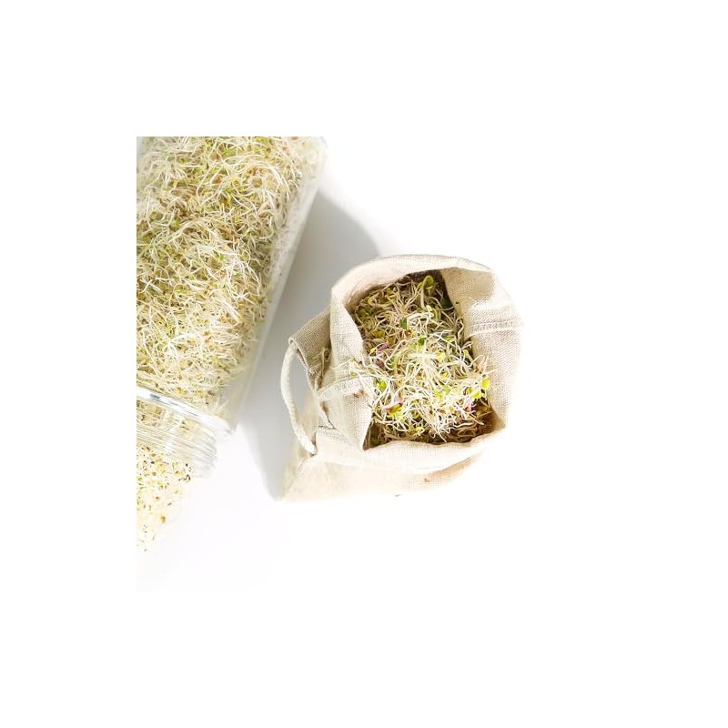 Sproutman®'s Hemp Sprout Bag - Just Dip in Water, Hang