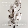 TRANPARAN Luxe Imabari Towel, Approved, Hotel Quality, Sanhokin Cotton, Made