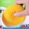 Lola Products Heavy Duty Plastic Mesh Scourers - 3.75" x