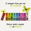Cupper Infuso Rooibos Biologico (4 confezioni da 20 bustine di