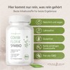 Effective Nature COMBI, Symbio – Vegetarian Capsules – Contains Präbiotisches Inulin – Organic Quality – No Additives, ,