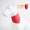 BlissBud Pet's Cotton Bandanas with Adustable Button for Medium Dog