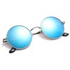 Pro Acme Retro Small Round Polarized Sunglasses for Men Women